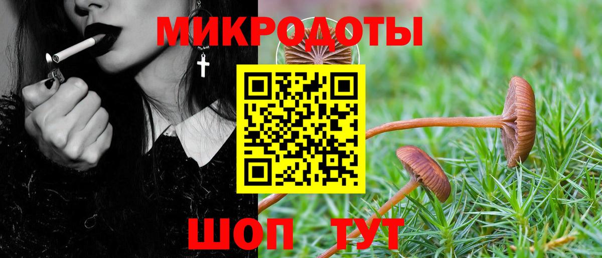 закладки  Псилоцибиновые грибы ЛСД  Вход с VPN  Джанкой 